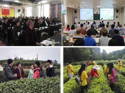 科技賦能茶香飄 安溪茶學院茶學系教工黨支部打造產(chǎn)業(yè)振興示范網(wǎng)，